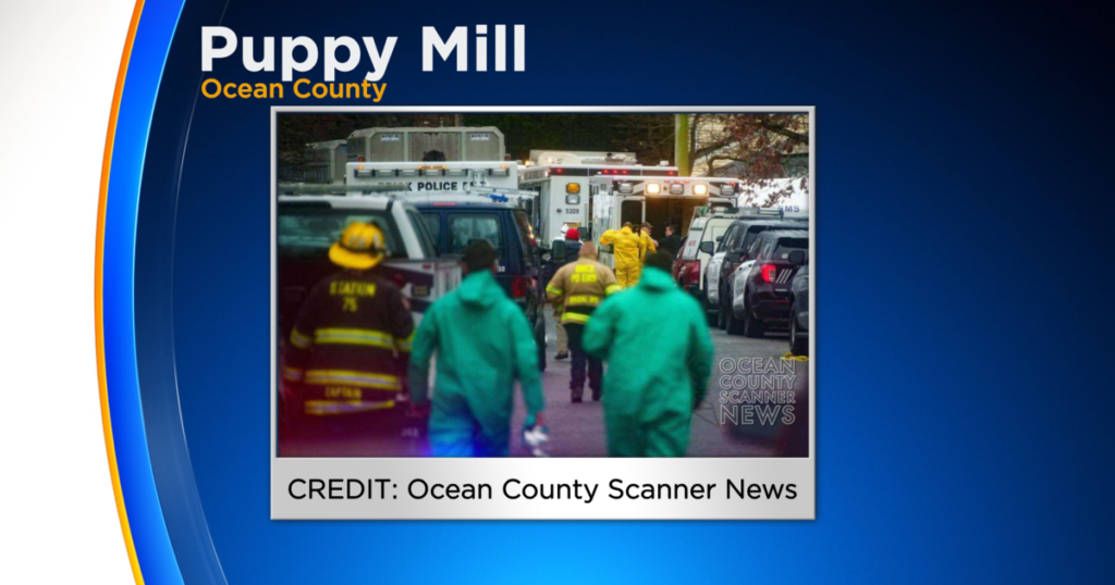 ocean county puppy mill