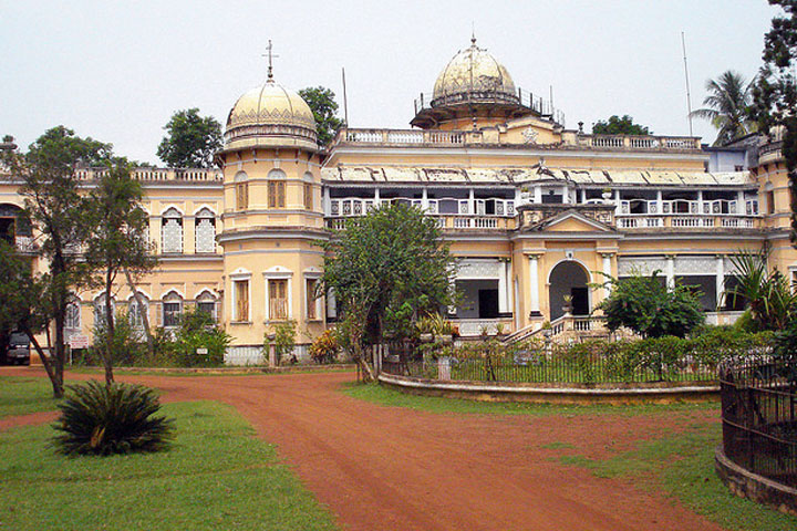 Jhargram Blossoms: A Biodiversity Renaissance in Bengal