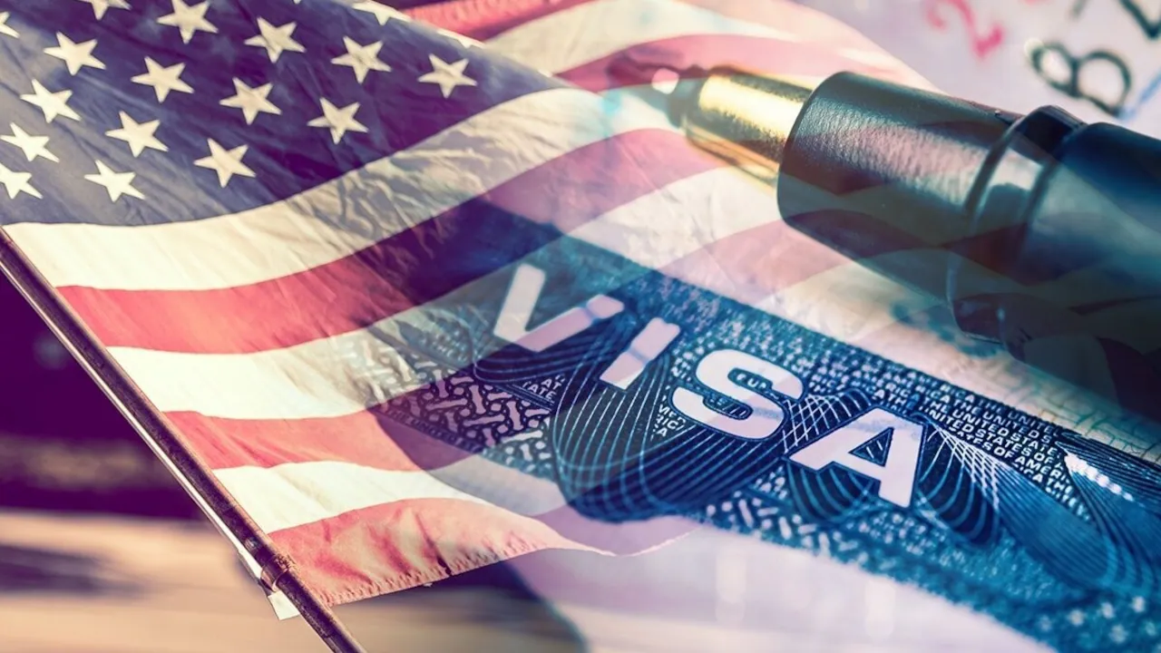 Visa Integrity Fee